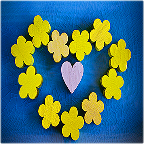 Portfolio Hero Image